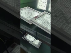 250W LED 폭발 방지 가솔린 스테이션 ATEX IECEx RoHS 승인 IP66 5 년 보증