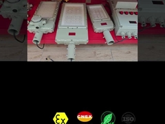 CRI Ra≥80 폭발 방지 LED 홍수등 위험 환경용 50-300W