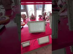 ATEX 폭발 방지 홍수 조명