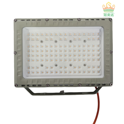 MEANWELL 드라이브 IP66 야외 LED 플라드 라이트 사용자 정의 색상 100-277V 시장 100W