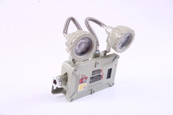 산업용 2*3Watt 220VAC 24/36VDC 방화 방지 비상 조명