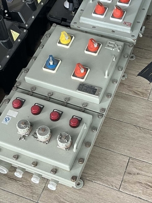 ATEX CNEX ISO9001 Certified Flameproof Control Panels IP66 WF2 Protection Level Customizable Rated Voltage