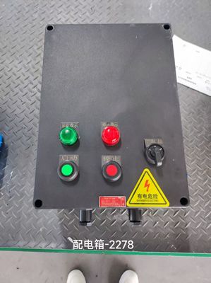 IIGRP/ABS BT4 Distribution Flameproof Control Panels Flame Explosion Proof Control Panel Enclosure