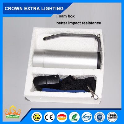 100W 폭발 방지 LED 조명 16 시간 비상 시간 LED 조명 소스 포함 위험 장소에 적합