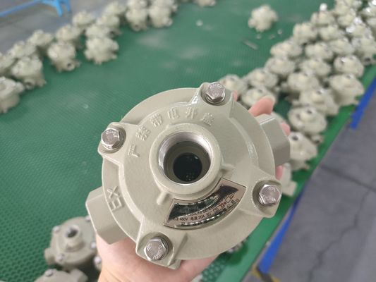 케이블 스펙 9mm 13mm 폭발 방지 스위치 해양 등급 알루미늄 10A 전류 산업 제어 스위치 위험 지역