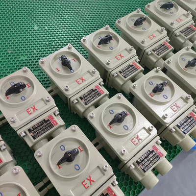 220V/380V 2극 폭발 방지 스위치