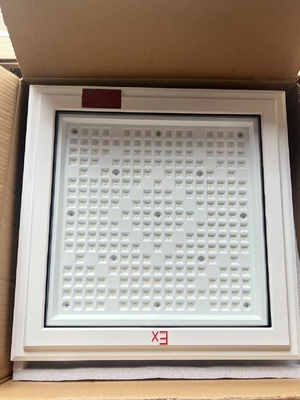 ATEX 18*18 인치 사각형 모양의 폭발 방지 조명 100w 130lm/w 주유소 조명 5년 보증