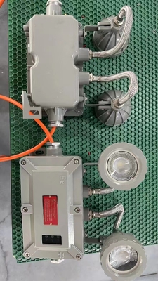 ATEX 방화 방지 비상 조명 내부 / 외부 벽에 장착 된 LED