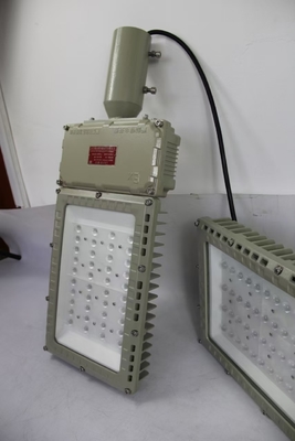 50W GYD9701 폭발 방지 LED 홍수 조명 130lm/W 화학 산업 연구실 Ip66 방수