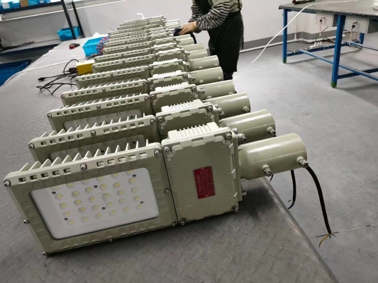 130lm/W 250w 폭발 방지 홍수 빛 파우더 코팅