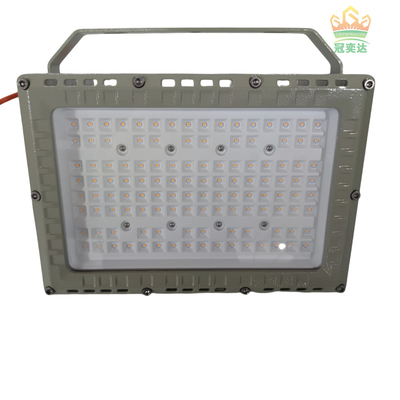 50W 100W 200W 250W 폭발 방지 LED 홍수등 ATEX IECEx RoHS CNEX ISO9001 인증