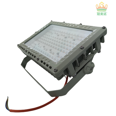 프리미엄 효율성 130lm/W LED 아텍스 플라드 라이트 100W 200W 극한 산업 환경