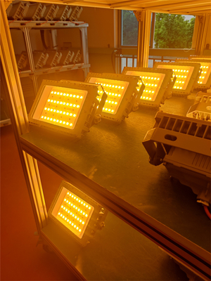 50W 100W 200W 250W 폭발 방지 LED 홍수등 ATEX IECEx RoHS CNEX ISO9001 인증