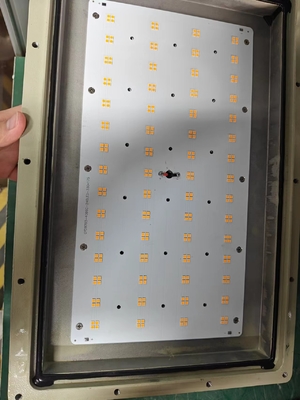 IP66 WF2 보호 폭발 방지 LED 홍수등