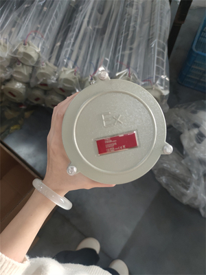 클래스 1 Div 1 Ex ATEX IECEx RoHS CNEX ISO와 함께 선형 형광등