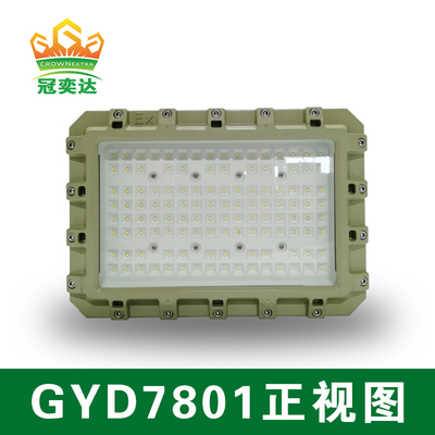 ATEX 폭발 방지 LED 홍수 조명 50000hrs 수명 IP66 WF2 보호 IECEx 인증