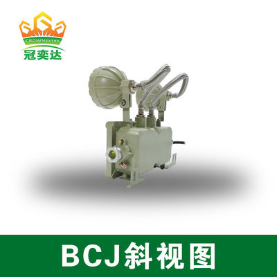 방화 방지 비상 조명 BCJ2 21 CRI Ra≥70 산업용 내구성 및 에너지 절감