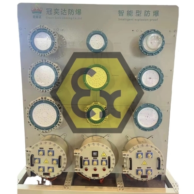 ATEX 폭발 방지 조명 전력 분배 패널 IP66 해상/해상 위험 구역 1의 부패 방지