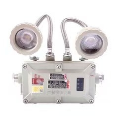 폭발 방지 비상 조명 2*3Watt LED 220VAC 24/36VDC 구역 1 2