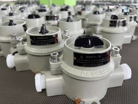 220V / 380V 방폭형 전기 선택 스위치 WF2 회색 구역 22