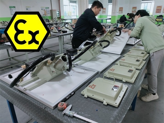 폭발 방지 태양광 거리 조명 ATEX IECEx 승인 WF2 IP66 100 와트 140lm