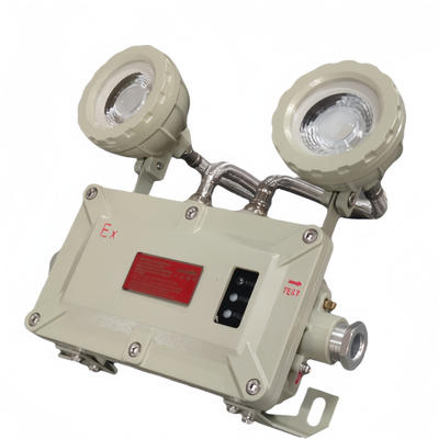 90-300VAC 24/36VDC 폭발 방지 비상 출구등 CRI Ra≥70 기상 저항