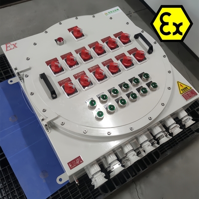 380VAC 방화 방지 패널 맞춤형 케이블 입력 CNEX ATEX