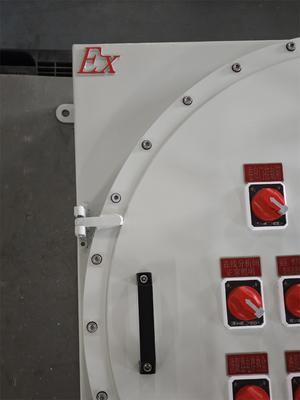 220V ATEX 폭발 방지 조명 전력 분배 패널 부패 방지 벽 장착 상자 패널 폭발 방지 사용자 정의
