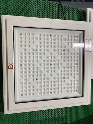 폭발 방지 LED 홍수 조명 램프 껍질 CREE 및 50-240WW 범주