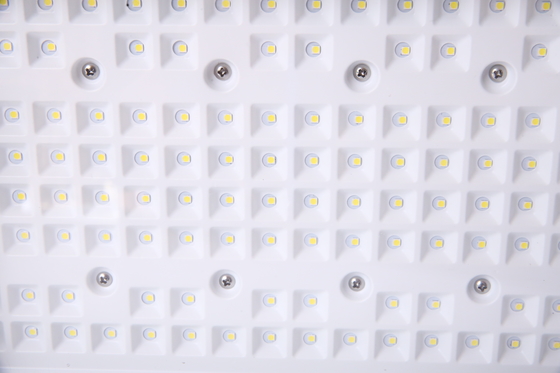 50W 240W 맞춤형 폭발 방지 LED 플라드 라이트 CREE 칩 ATEX 위험지역 인증