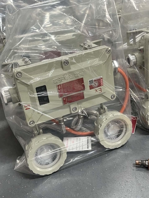 IP66 LED 방폭 비상등 – 2x3W, 90lm/W, 위험 지역용 내화성