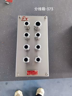 맞춤형 스테인리스 304 폭발 방지 유도 상자, FLP 접합 상자