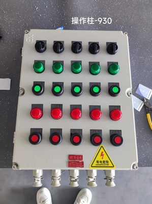 EX Mark II 2 G Ex Db Eb IIC T6 Gb /II 2 D Ex Tb IIIC T80°C Db IP66 Box Panel Explosion Proof for Hazardous Zone 1 2 21 22
