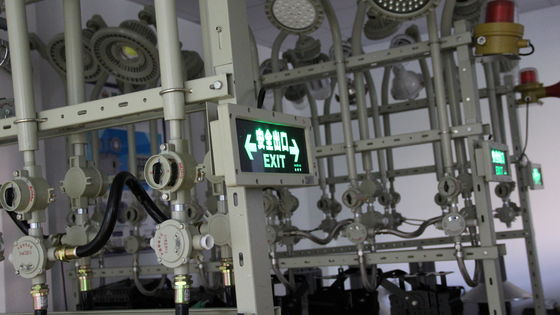 ATEX IP66 방수성 폭발성 LED 비상 출구 조명 천장 설치 3W 90분 비상