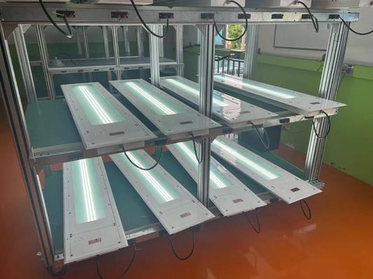 IP66 Certified Ceiling Mount Explosion Proof Fluorescent Light with Customizable Colour Temperatures