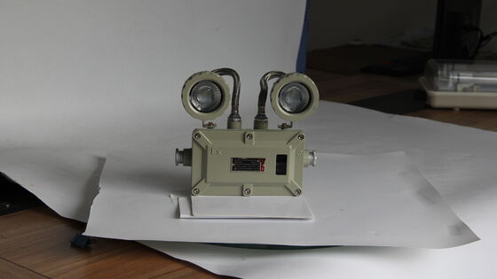 ATEX Explosion-proof LED Emergency Light 220VAC 50HZ 24VDC IP66 Explosion-proof Lamp Double Head