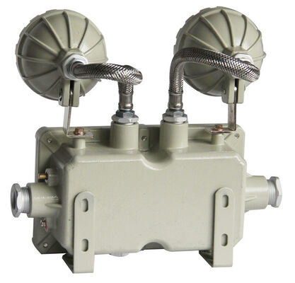 공장 가격 고품질 IP66 트윈 스팟 방폭 비상등 2x3W 2*5W 비상 LED 조명