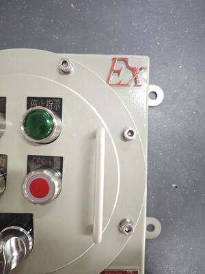 220V/380V 전기 알루미늄 합금/탄소강 방폭 제어반 Zone1/Zone 21용 방폭 차단기 패널 캐비닛