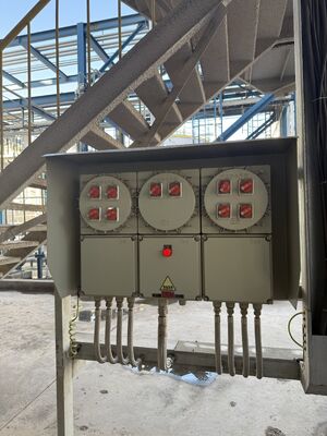 부식 방지 IP 65 380V 방폭 제어반 방폭 차단기 패널 캐비닛