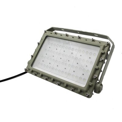 OEM 폭발 방지 LED 홍수 조명 CRI Ra80 IP66 WF2 보호 위험 환경에 설계 산업 조명